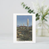 CaliforniaYucca Cacti in Bloom in woestijn Briefkaart (Staand voorkant)