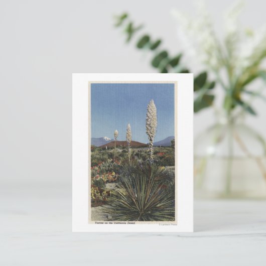 CaliforniaYucca Cacti in Bloom in woestijn Briefkaart (Staand voorkant)