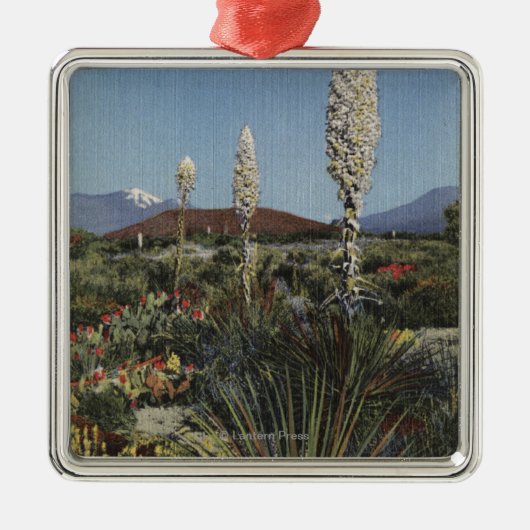 CaliforniaYucca Cacti in Bloom in woestijn Metalen Ornament (Voorkant)