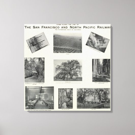 Californië 4 canvas afdruk (Voorkant)