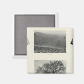 Californië 4 magneet (Voorkant / Achterkant)