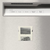 Californië 4 magneet (Insitu (Vaatwasser))