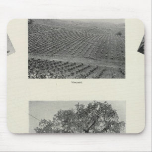 Californië 4 muismat