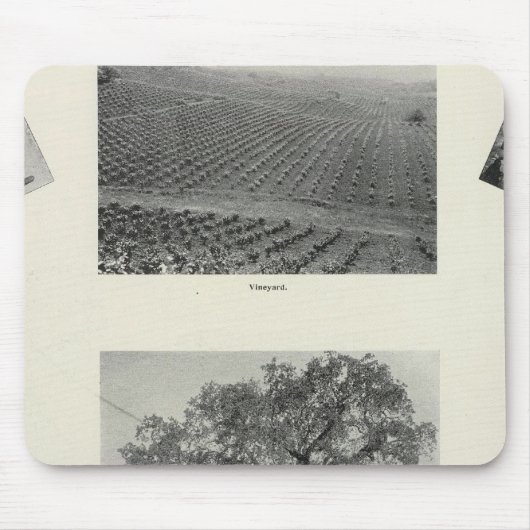 Californië 4 muismat (Voorkant)