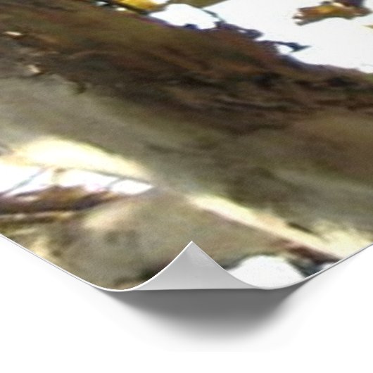 Californië 66 poster (Hoek)