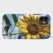 Californië, A Mammoth Sunflower (Helianthus) 2 Case-Mate iPhone Case (Achterkant (horizontaal))