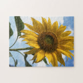 Californië, A Mammoth Sunflower (Helianthus) 4 Legpuzzel (Horizontaal)