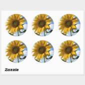 Californië, A Mammoth Sunflower (Helianthus) 4 Ronde Sticker (Vel)