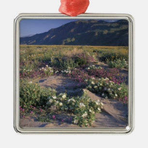 Californië, Anza-Borrego Desert SP, Zand Metalen Ornament