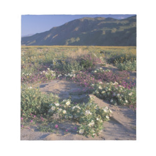 Californië, Anza-Borrego Desert SP, Zand Notitieblok