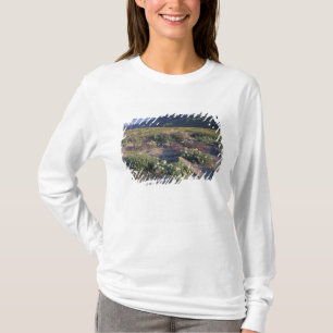 Californië, Anza-Borrego Desert SP, Zand T-shirt
