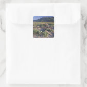 Californië, Anza-Borrego Desert SP, Zand Vierkante Sticker (Tas)