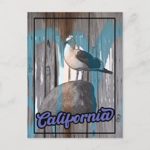  Californië Beach Seagull Travel Briefkaart