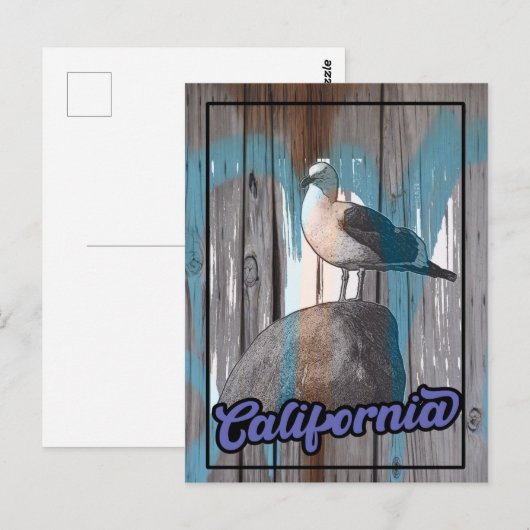 Californië Beach Seagull Travel Briefkaart (Voorkant / Achterkant)