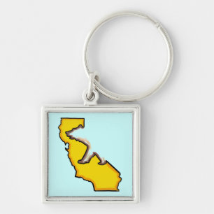 Californië beer staat symbool souvenir sleutelhang sleutelhanger