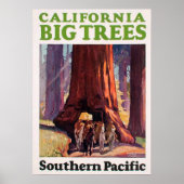  Californië Big Trees Southern Pacific Poster (Voorkant)
