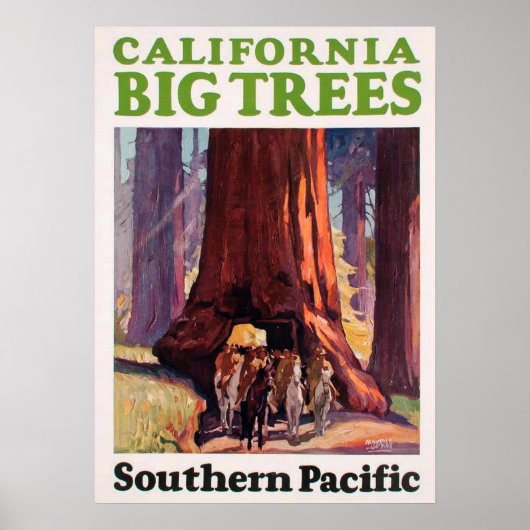  Californië Big Trees Southern Pacific Poster (Voorkant)