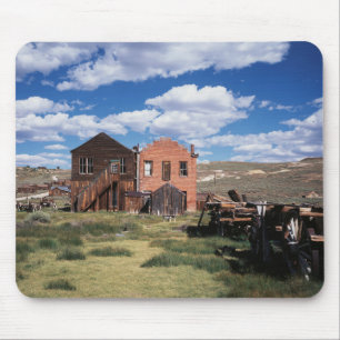 Californië, Bodie State Historic Park, Een oude Muismat