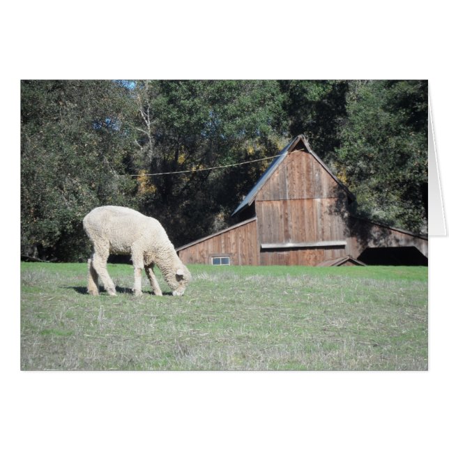 Californië-Boerderij (Voorkant Horizontaal)