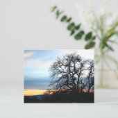 Californië Briefkaart (Staand voorkant)