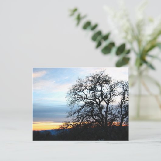 Californië Briefkaart (Staand voorkant)