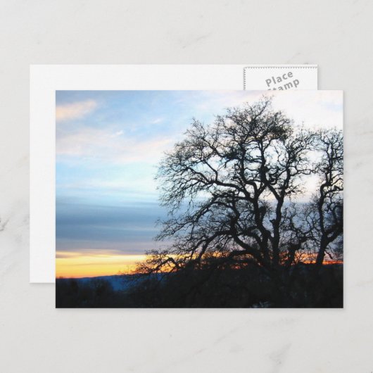 Californië Briefkaart (Voorkant / Achterkant)