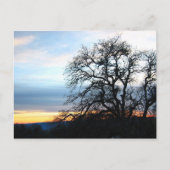 Californië Briefkaart (Voorkant)