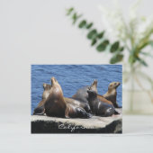 Californië Briefkaart (Staand voorkant)