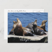 Californië Briefkaart (Voorkant / Achterkant)