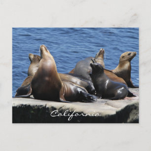 Californië Briefkaart