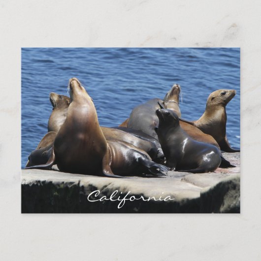 Californië Briefkaart (Voorkant)