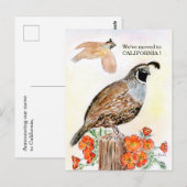 Californië Briefkaart (Voorkant / Achterkant)