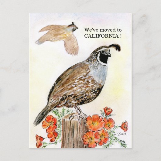 Californië Briefkaart (Voorkant)