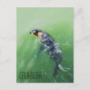 Californië Briefkaart