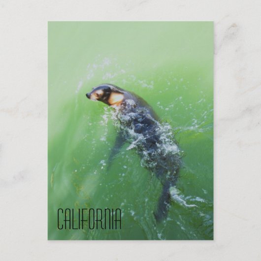 Californië Briefkaart (Voorkant)