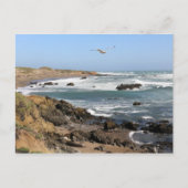 Californië Briefkaart (Voorkant)