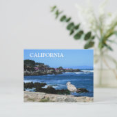 Californië, Briefkaart aan de kust van de Stille O (Staand voorkant)