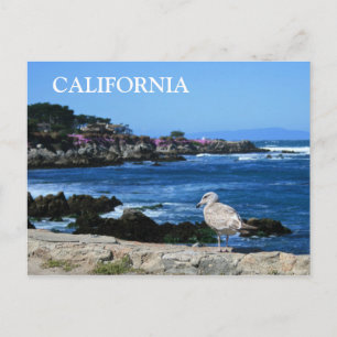 Californië, Briefkaart aan de kust van de Stille O