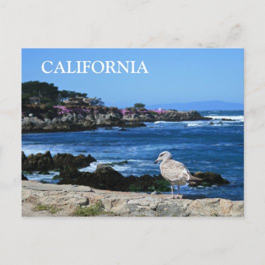 Californië, Briefkaart aan de kust van de Stille O (Voorkant)