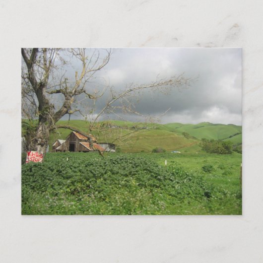 Californië-Briefkaart - Gilroy, Californië Briefkaart (Voorkant)