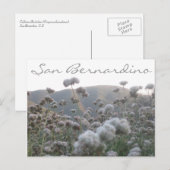 Californië Buckwheat Briefkaart (Voorkant / Achterkant)