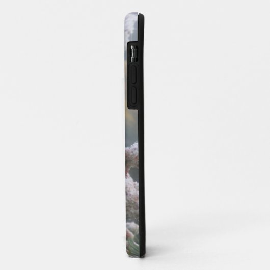 Californië Buckwheat Case-Mate iPhone Case (Achterkant/links)