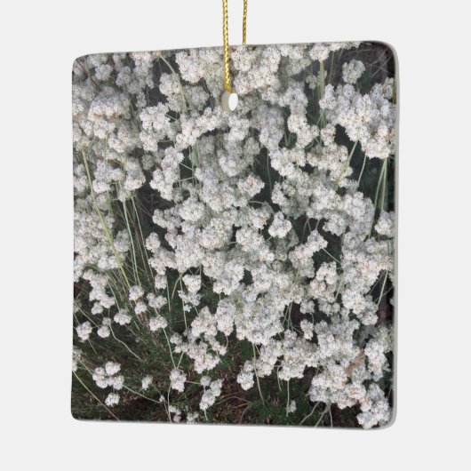 Californië Buckwheat Ceramic Ornament (Links)