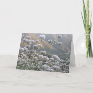 Californië Buckwheat Kaart