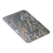 Californië Buckwheat Magneet (Rechterzijde)