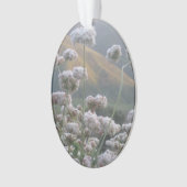 Californië Buckwheat Ornament (voorkant)