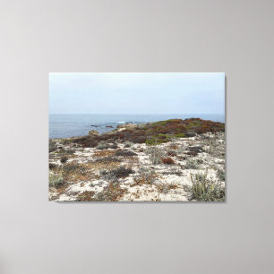 Californië Canvas: Asilomar Canvas Afdruk