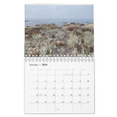 Californië Canvas: Asilomar Kalender (Jan 2026)