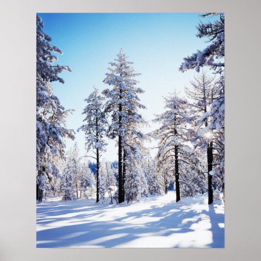 Californië, Cleveland National Forest, Laguna 2 Poster (Voorkant)