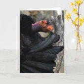 Californië Condor presenteert zorgvuldig zwarte ve Kaart (Gele Bloem)